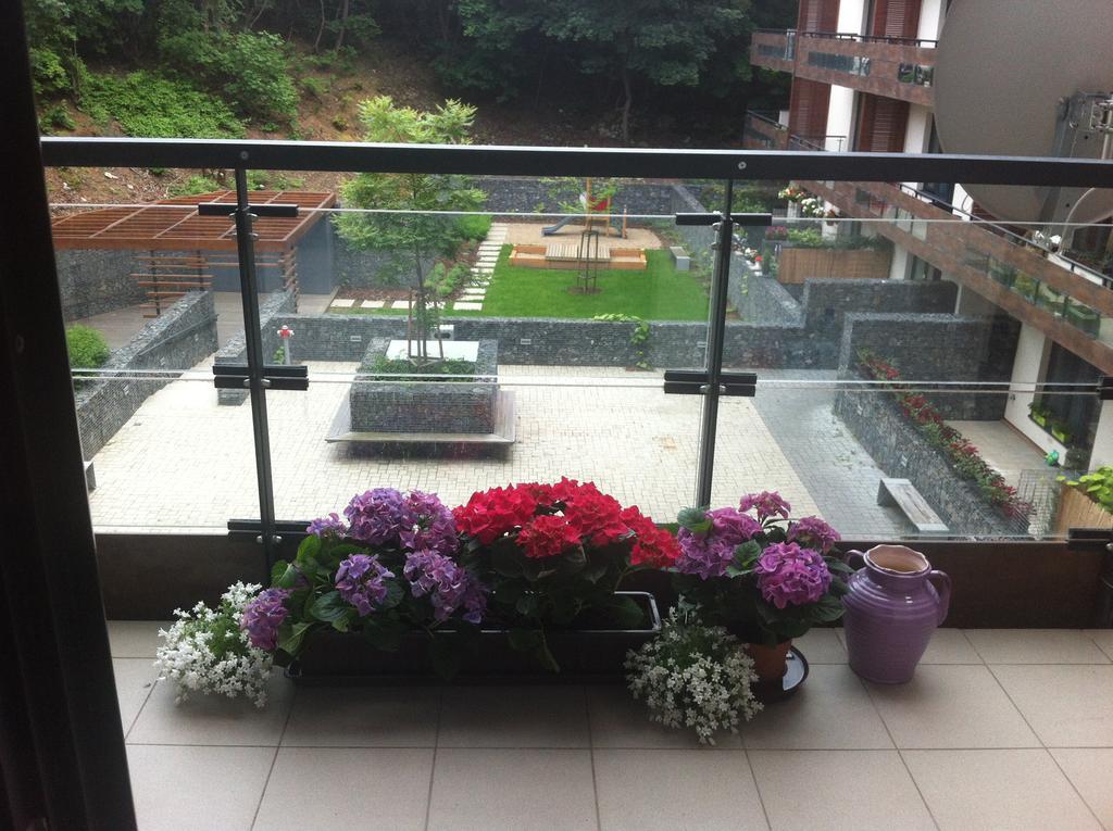 V Mezihori Apartment *