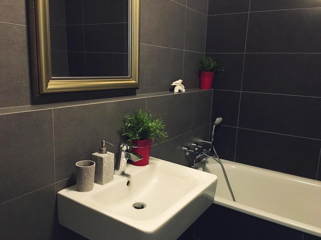 Apartment V Mezihori